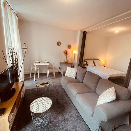 L'Albuconis 1 Grand Studio Обюссон Экстерьер фото